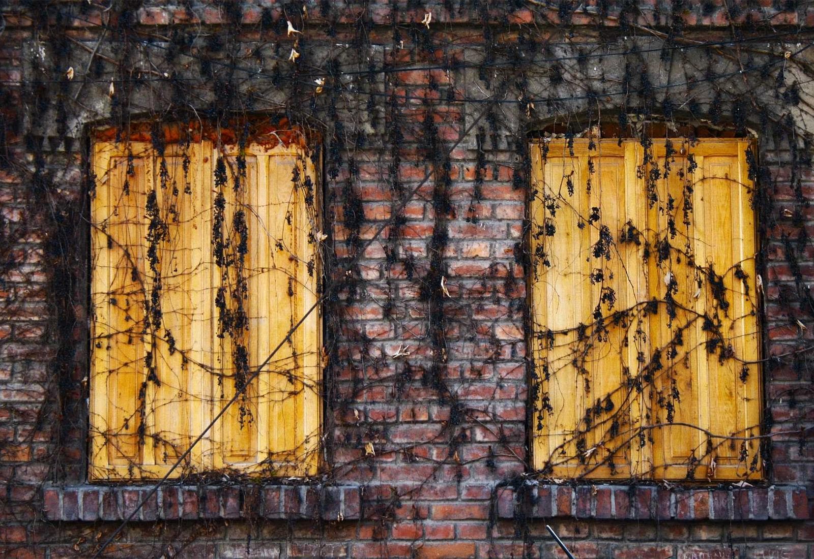 Foxhound Row Roasters — detail